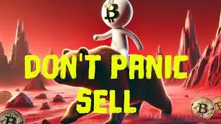 Bitcoin crash dont panic