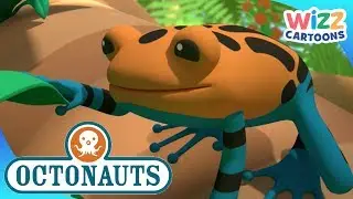 ‪@Octonauts‬