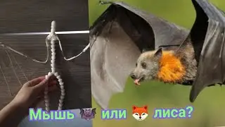 Игрушка в смешанной технике. Летучая лиса.