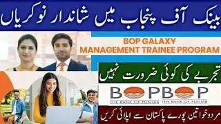 Bank of Punjab BOP Galaxy Management Trainee Program Jobs 2023