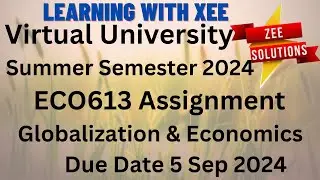 ECO613 Globalization & Economics Assignment Summer 2024 Virtual University of Pakistan
