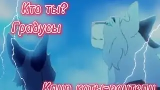 Клип коты-воители || Кто ты? (Градусы) ||Клип на 3К подписчиков:)