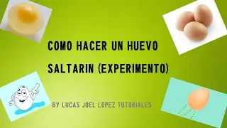 Como hacer un huevo saltarín (experimento).Muy bien explicado!!