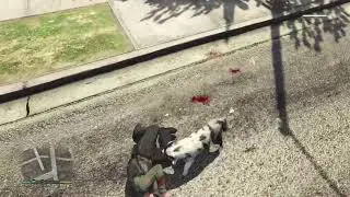 Beastiality