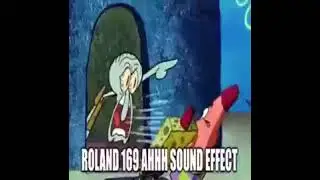 ROLAND 169 AHHH SOUND EFFECT