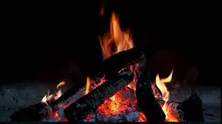 Fire free video | Royalty Free HD Video | no copy right