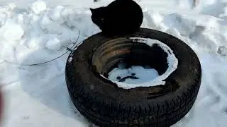 Обычные будни на конюшне. Взгляд изнутри. Покажу что, где и как 😊