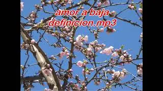 amor a baja definicion.mp3 trap sad
