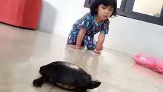 punya maenan baru.. si kuy kuy...