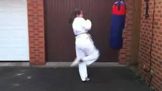 Karate Roundhouse Kick