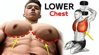 Incredibly Lower Chest workout Exercises ( Top 8 )