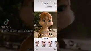 what have I done...