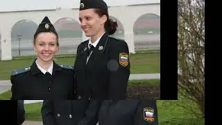 УФССП России по Новгородской области История за 10 лет 2012-2022