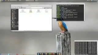 How to Create a Samba Server In Linux Mint Ubuntu or Debian