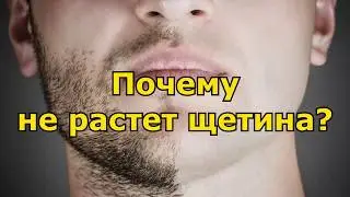 Почему не растет щетина?