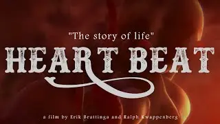 Heart Beat - the story of life