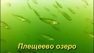 Очередная прогулка по Плещееву озеру