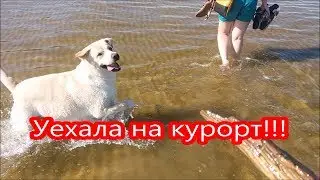 Мисси на море!