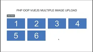 PHP Vuejs Multiple Image Upload