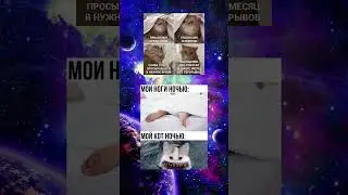 #memes