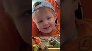 Блиц из мультика Зверополиса😅 Реакция Яна)