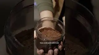 jadi tau dong sekarang ciri-ciri beans yang perfect untuk dijadikan kopi?  #brevilleindonesia