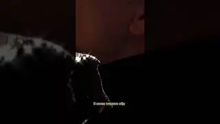 SUNAMI - НЛО (Snippet) 2021