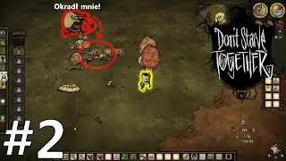 ŚWIŃSKI KRÓL I DZIWNY ZŁODZIEJASZEK Don't Starve #2