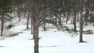 Snow Day Part 3