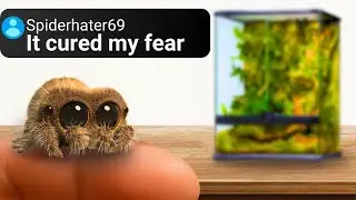 Real Life Lucas The Spider Gets a Bigger Home...