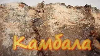 Блюдо камбала в песке.