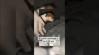Horrores En La Vida Real Captados En Cámara
