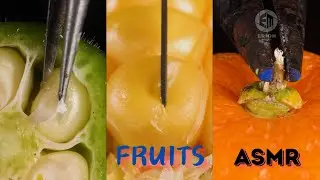 Best Macro Videos of Objects World