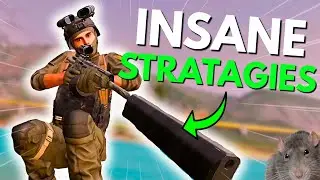 Using the most INSANE Rat Strategies In Tabor