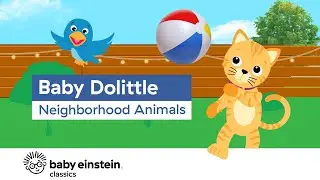 Neighborhood Animals For Kids to Learn | Baby Dolittle: Neighborhood Animals | Baby Einstein