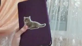Ура!!! Моя Реакция