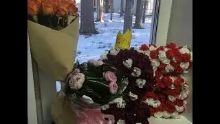 КУДА ПРОПАЛА? гуляем, отмечаем ДР! ЕЩЕ ВИДЕО БУДУТ???