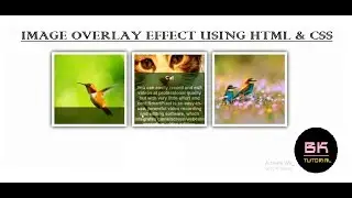 CREATE A IMAGE OVERLAY EFFECT | Text Over an Image  Hover Without JavaScript  BK Tutorial