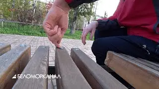 Цветы в вазе, говно в унитазе 📹 TV29.RU (Северодвинск)