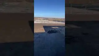 УДС с автоматическим снятием доильного аппарата и учетом молока PANAZOO