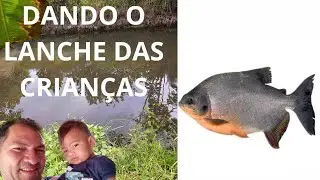 PANGAS E TABATINGA$  COMENDO JUNTOS