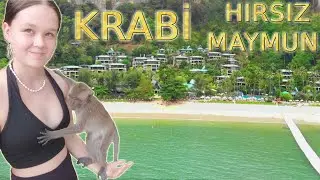 Gizli Adalarda Mükemmel Plajlar Krabi Gezilecek Yerler