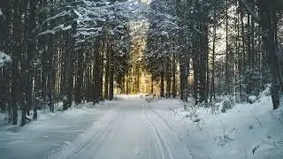 [PLAYLIST] 브랜뉴뮤직의 겨울