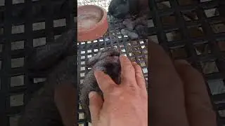 What are you doing?