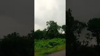 Nature ☘️🌿🌳
