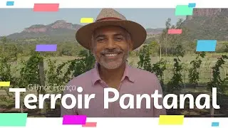 Terroir Pantanal - Crescimento e inovação na região