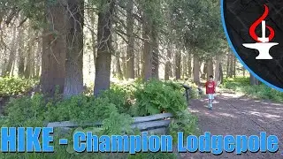 HIKE - Champion Lodgepole Pine, San Bernardino Mountains