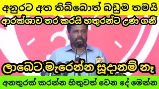 අනුරගේ ආරක්ශාව ගැන ඔබ හීනෙන්වත් නොහිතන ඇත්ත මෙන්න