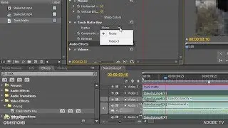 How to Hide a Face in Premiere Pro