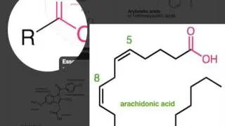01-NSAIDs